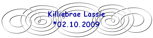 Killiebrae Lassie
*02.10.2009