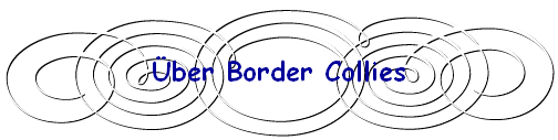 ber Border Collies
